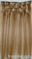 Best Quality Remy Human Hair Clip-in hair Extension