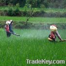 Pesticide powder