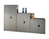 Swing Door Cabinet