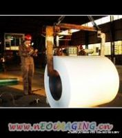 prepainted steel coil