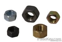 supply different types of nuts