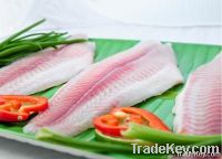 Basa White Untrimmed