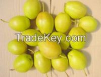 Fresh Pear