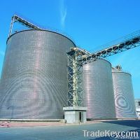 Steel Silos (18000Tons)