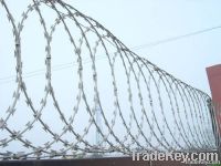razor barbed wire (factory)