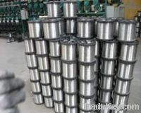 Galvaniaed wire(main)