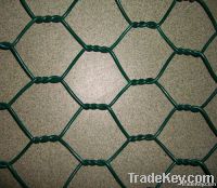 Hexagonal Wire Mesh