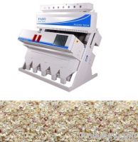 Onion Color sorters