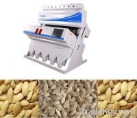 Cucumber Seeds Sorting Machine