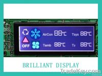 LCD Module, LCM for Customized Model