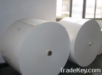 HIGH Quality Reasonable Price pe coated paper