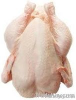 Export Whole Chicken Meat | Chicken Meat Suppliers | Poultry Meat Exporters | Chicken Pieces Traders | Processed Chicken Meat Buyers | Frozen Poultry Meat Wholesalers | Halal Chicken | Low Price Freeze Chicken Wings | Best Buy Chicken Parts | Buy Chicken 