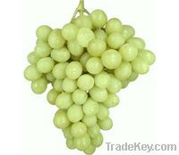 Superior Grapes