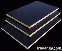 Shuttering Plywood