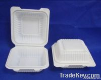 biodegradable disposable food container