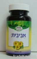 Avivit