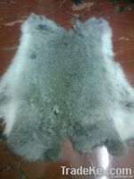 Rabbit skin