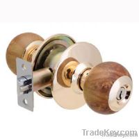 Door Lock