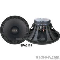Professional Speaker