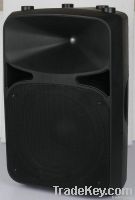 Professional Speaker