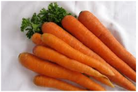 Carrot