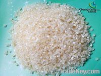 100% biodegradable & compostable resin granule