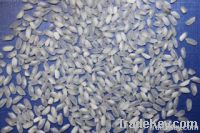 VIETNAMESE MEDIUM GRAIN WHITE RICE