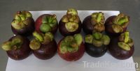 Fresh mangosteen