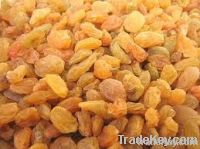 raisins