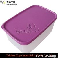 High-quality Storage Box Mould