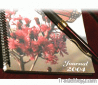 Biaxial Orientated Polypropylene film From India