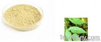 Epimedium Extract icariin