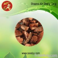Rhodiola Rosea Extract