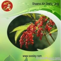 Elderberry Extract