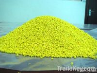 Yellow Masterbatch