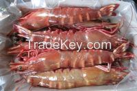 Frozen Tongue Sole, Cuttle Fish, Ribbon, Yellow Crocker, Pomfret, and Sea Shrimps.