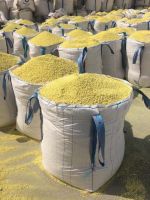 SULPHUR