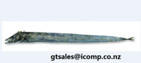 New Zealand Frost Fish (Lepidopus Caudatus