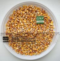 Corn (forage and popcorn)