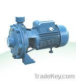 2CP25/160B CENTRIFUGAL PUMP