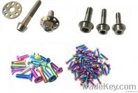 Titanium Fastener