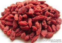 dried goji berry/wolfberry