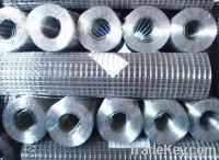 Galvanized Welded Wire Mesh