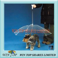 PVC and Poe Pet, Cat, Dog Umbrella Manufacturer