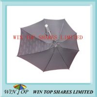 Abnormal and unusual anti Air umbrella