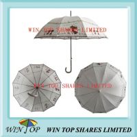 23" Auto Straight Grey Vogue Umbrella