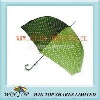 Auto Straight dot imprint green Lady Umbrella