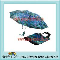 3 Fold Oil Painting Shopping Bag Umbrella