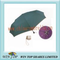 Mini Folding Umbrella with 2 Colors Coating