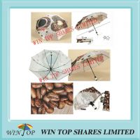 Stylish Full Auto Coffee Bean Umbrella